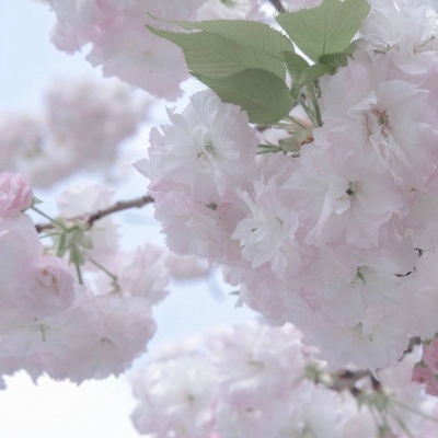 竹溪FurryQQ群介绍